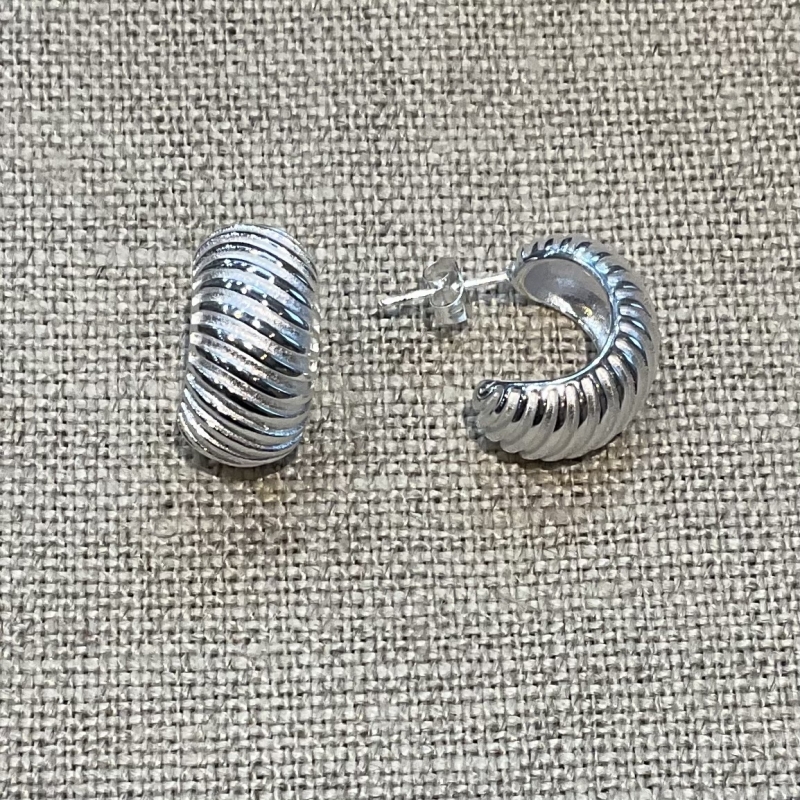 boucles d'oreilles acier inoxydable argenté