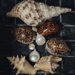 Boucles d’oreilles nacre clips Made in France